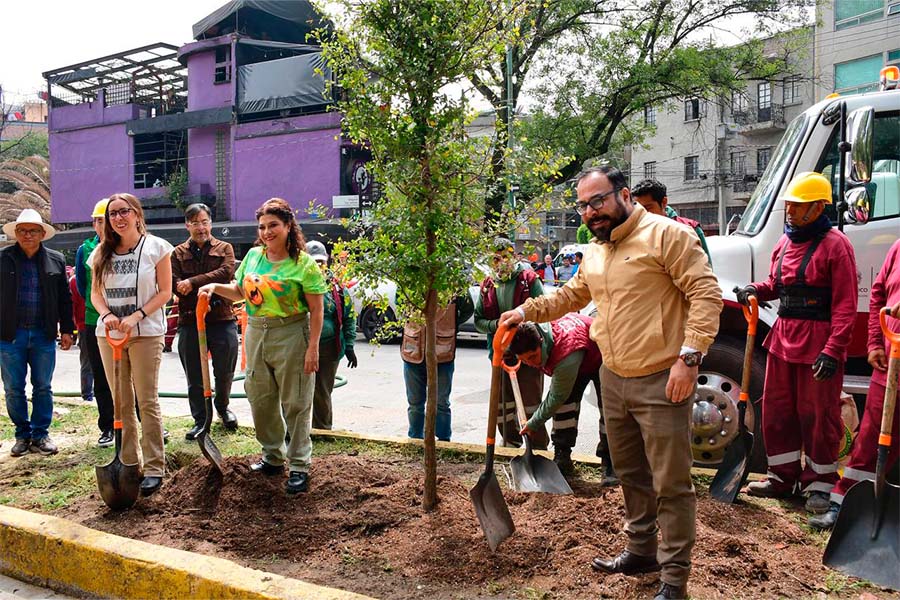 CLARA BRUGADA PONE EN MARCHA  EL PROGRAMA INTEGRAL DE ATENCION A PALMERAS_0008_SOBSE.jpg