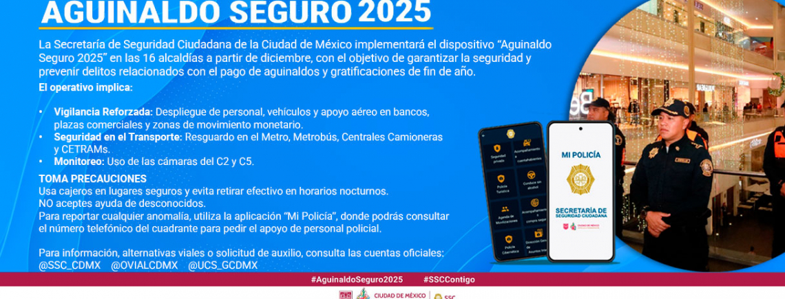 Aguinaldo Seguro 2025