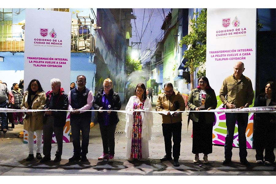 transformacion integral tlalpan coyoacan_0009_8.jpg