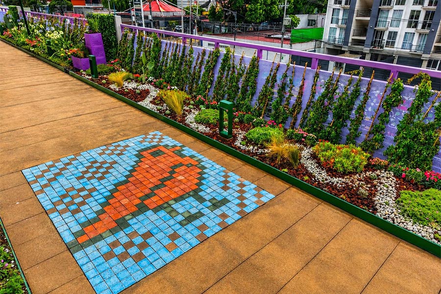 INAUGURA CLARA BRUGADA PARQUE FLOTANTE TLALLIPAN_0011_sobse.jpg